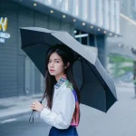 Xiaomi Mijia WD1 Automatic Rainy Umbrella